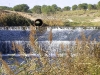 casa_rural_hoces_del_batanejo_entorno_038