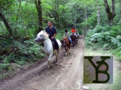 Casa Rural Hoces del Batanejo :: Actividades :: Pupilaje de caballos